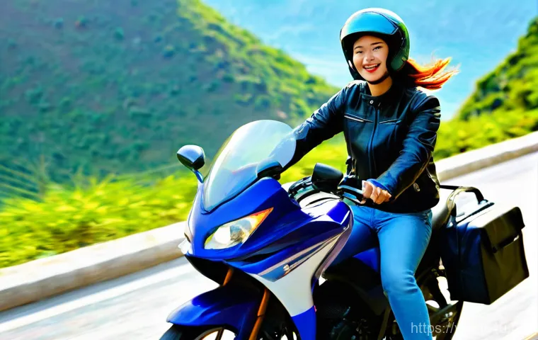 베트남 모터바이크 대여 방법 - **Prompt for an image capturing the freedom and scenic beauty of a motorbike journey:**
    "A solo ...